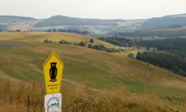 Das Bild zeigt eine hügelige Landschaft mit Wald- und Offenlandflächen.