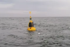 Gelb schwarze Boje im Wasser