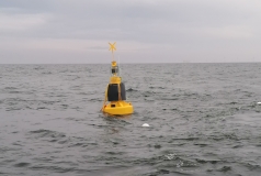 Gelb schwarze Boje im Wasser