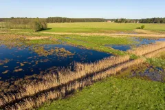 Lebensraum Weißstorch
