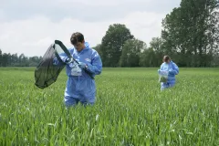 Probenahme von Insekten und Vegetation im Feld