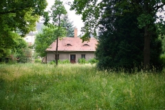 Im Vordergrund Wiese, im Hintergrund Haus und Bäume