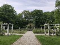 Ein Garten mit Rosen, Bänken und grünen Pflanzen