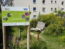 Infotafel im Vordergrund, Sitzbank und Pflanzen im Hintergrund