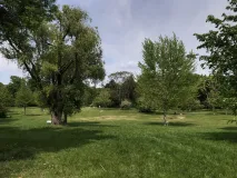 Eine Wiese mit Bäumen und Schildern