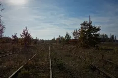 Mit Pflanzen überwachsene Bahngleise und blauer Himmel.