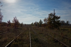 Mit Pflanzen überwachsene Bahngleise und blauer Himmel.