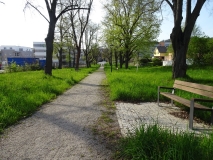 Weg, Wiese, Bänke und Bäume, im Hintergrund Häuser