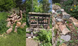 Baumstämme, ein Insektenhotel und eine Steinmauer