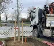 Baustelle mit Baum und Bagger.