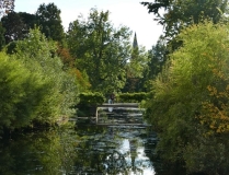 Wasser mit Spiegelung und Pflanzen