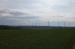 Die Abbildung zeigt landwirtschaftlich genutztes Grünland mit Waldbereichen und 66 Windenergieanlagen in unterschiedlicher Entfernung am Horizont