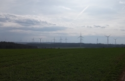 Die Abbildung zeigt landwirtschaftlich genutztes Grünland mit Waldbereichen und 66 Windenergieanlagen in unterschiedlicher Entfernung am Horizont