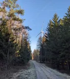 Die Abbildung zeigt eine Windenergieanlage zwischen Nadelbäumen mitten im Wald, nördlich von Mangelsbach in Hessen