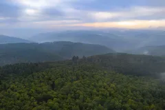 Die Abbildung zeigt eine Luftaufnahme des Wispertaunus