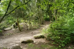 Weg durch einen Wald 