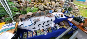 Informationsstand mit unterschiedlichen Nisthilfen, Flyern und Broschüren zu den Themen Schwalben und andere Vögel