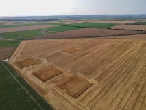 Großes Getreidefeld in Agrarlandschaft nach der Ernte, mit einzelnen quadratischen Aussparungen mit noch hohem Getreideaufwuchs.