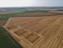 Großes Getreidefeld in Agrarlandschaft nach der Ernte, mit einzelnen quadratischen Aussparungen mit noch hohem Getreideaufwuchs.