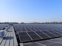 Das Foto zeigt eine schwimmende PV-Anlage. Die Solarmodule erstecken sich in jede Richtung mehrere hundert Meter. Am Horizont sind Gebüsche und Bäume am Ufer zu erkennen.