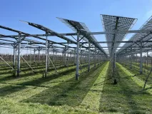 Die Abbildung zeigt eine hoch aufgeständerte Solaranlage über einer Obstplantage