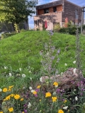 Buntes Blumenbeet und Wiese vor einem privaten Holzhaus