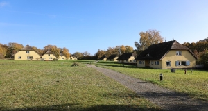 Hintereinander gereihte gelbe Häuser auf der Insel Vilm