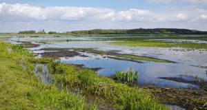 Feuchtgrünland mit großen Wasserflächen.