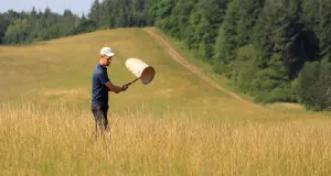 Ein Mann läuft mit einem Streifkescher über eine grüne Wiese um das Artenspektrum einer Probefläche zu erfassen