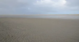 Zu sehen ist eine weite Wattlandschaft bei Wangerooge an einem bewölkten Tag.