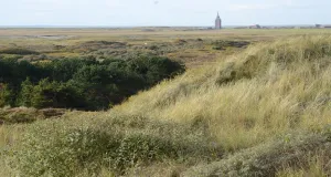 Es sind typische Ausprägungen einer Dünenlandschaft zu sehen. Am Horizont thront der Neue Westturm von Wangerooge.