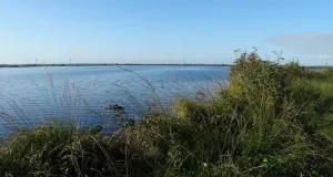 Das Foto zeigt einen Ausschnitt vom „Ewigen Meer“ dem größten Hochmoorsee Deutschlands mit seiner vielfältigen Ufervergetation