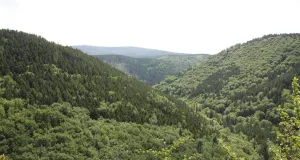 Waldlandschaft des Harzes mit Fernsicht zum Brocken.