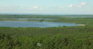 Das Foto zeigt eine Wald- und Seenlandschaft von einem Aussichtspunkt.