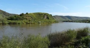 Das Foto zeigt die Mosel und die angrenzenden Hänge, die für Weinbau genutzt werden.