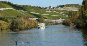 Das Foto zeigt Weinberge am Mainufer. Auf dem Main fährt ein Ausflugsdampfer.