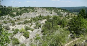 Das Foto zeigt einen aufgelassen Steinbruch.