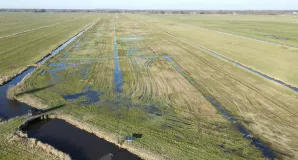 Bewässerung mit Solarpumpen