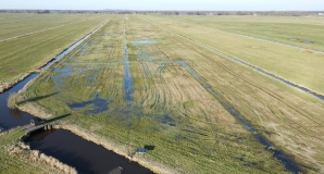 Bewässerung mit Solarpumpen