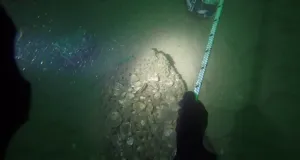 Das Foto ist eine Unterwasseraufnahme aus dem Pilotriff. Im Lichtkegel einer Unterwasserlampe sieht man im Vordergrund die Hand eines Tauchers, die eine weiß-schwarze Leine umgreift. Dahinter ist der Meeresgrund sichtbar. Auf dem Grund liegt ein Netzpaket gefüllt mit Austernschalen, die mit jungen Austern bewachsen sind.  