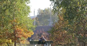 Zwei Personen auf einer Bank zwischen Bäumen, im Hintergrund eine Ziegelwand