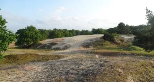Das Foto zeigt die typische Gestalt einer Binnendüne im Jungmoränengebiet mit offenen Sandflächen, Grasfluren, Flechten und aufkommenden lichten Eichen- und Kiefernbeständen.