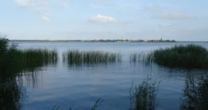 Das Foto zeigt  einen  Auschnitt der Gewässerfläche des Stettiner Haffs mit Beständen von Schilf und Rohrkolben im Uferbereich. Im Hintergrund ist die Ortslage Nowe Warpno (PL) zu sehen.