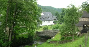 Das Foto zeigt ein typisches Kerbsohlental in der Ruhreifel mit Bach, Bachbegleitgehölzen, einer Steinbrücken und typischen Naturstein- und Fachwerkhäusern der Eifel.