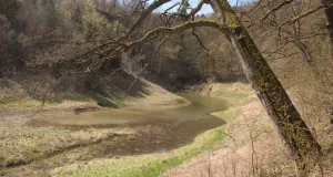 Zu sehen ist der Bauerngraben in der Gipskarstlandschaft Südharz, ein Ponor mit temporärer Wasseranstauung.