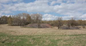 Verschiedene Klein- und Flachhalden an einem Frühlingstag
