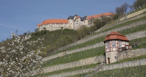 Auf dem Foto sind Weinhänge in steileren Lagen zu sehen, die durch helle Kalkstein-Trockenmauern gegliedert werden. Oberhalb des Weinberges thront die Burganlage Neuenburg.