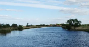 Das Foto zeigt den Fluss Havel in der unteren Havelniederung mit Grünland und einzelnen Weiden im Uferbereich. Im Hintergrund ist ein Dorf zu sehen.
