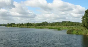Das Foto zeigt den Werbellinsee mit mehreren Segelbooten. Die Aufnahme erfolgte von einem Boot aus.