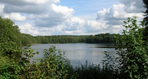 Das Foto zeigt den Amtssee der bis an seine Ufer mit Buchen- und Erlenbruchwäldern umgeben ist.